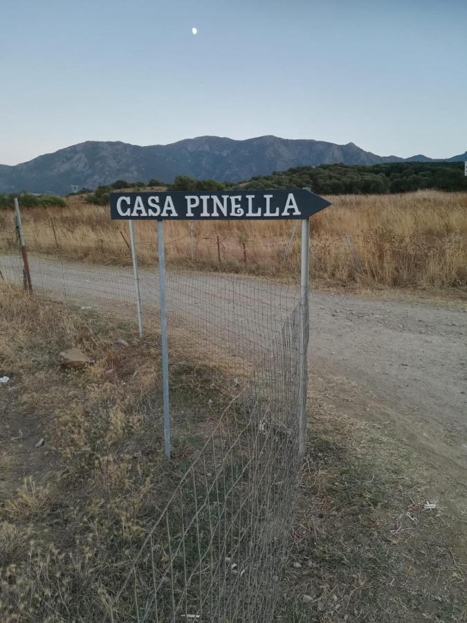 Casa Pinella Villa Villamassargia Eksteriør billede